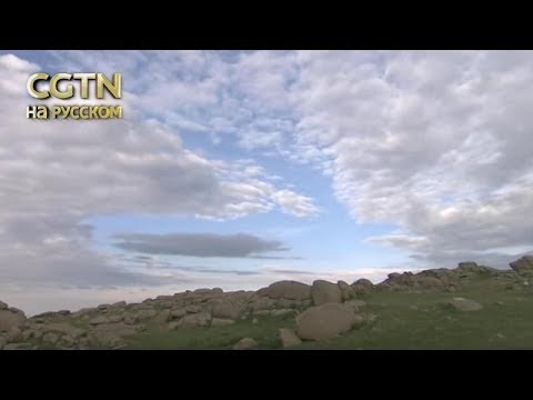 Видео: Алтай Синьцзяна