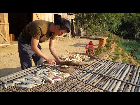 Видео: #95 Собери урожай редиски в саду, Помоги сестре покрыть готовый дом, Живи с природой