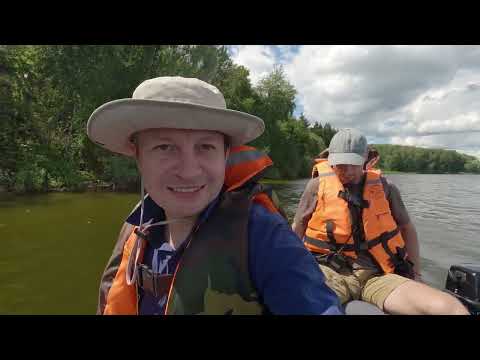 Видео: С палатками на Можайское водохранилище - наблюдаем за птицами