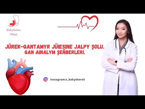 Видео: Жүрек-қантамыр жүйесіне жалпы шолу.Жүрек топографиясы.Жүректің өткізгіштік жүйесі.