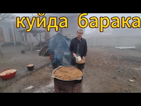Видео: Куй бокиш сирлари арзон усулда.