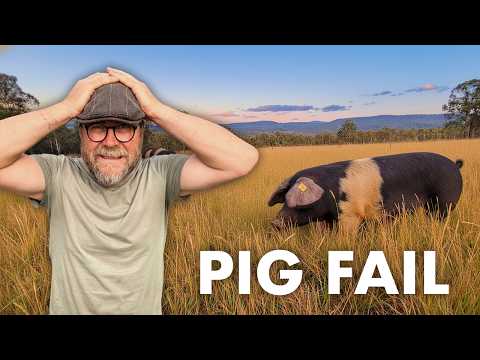 Видео: Что мы только что узнали об электрических ограждениях