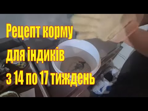 Видео: Індики Біг6. Рецепт корму з 14 по 17 тиждень власними руками.