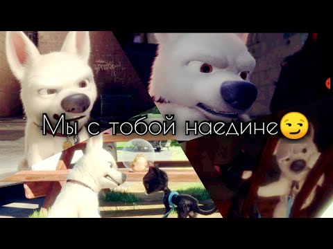 Видео: Вольт: Клип "Ближе" заказ