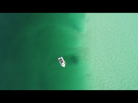 Видео: Как я ловлю люциана и королевскую рыбу