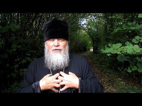 Видео: ЧТОБЫ ПРОЙТИ ЧЕРЕЗ ВРАТА КРЕСТА, МЫ ДОЛЖНЫ ВСТУПИТЬ В ДУХОВНУЮ БРАВНЮ