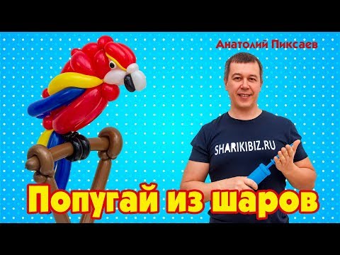 Видео: Попугай из шаров