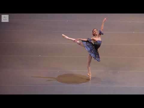 Видео: M.Нагахиса (M.Nagahisa), 8-12-22