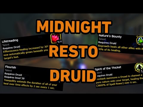 Видео: Resto Druid готовит в полночь!