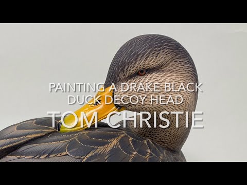 Видео: Покраска головы чучела черного селезня