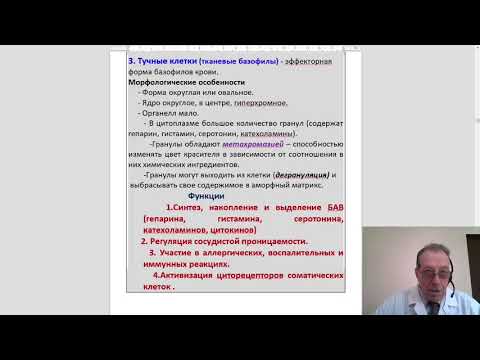 Видео: Гистология 2. Соединительные и скелетные ткани