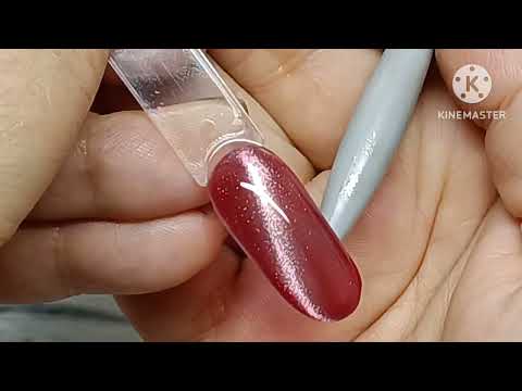 Видео: Очаровательные кошки от Born Pretty😍