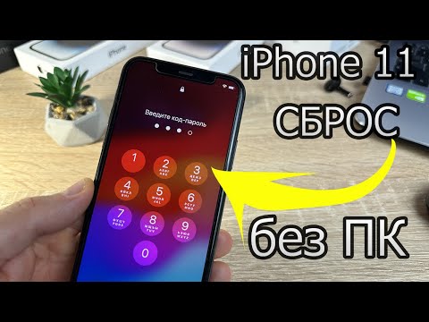 Видео: Забыл пароль на iPhone 11? Сброс без компьютера за 3 минуты!