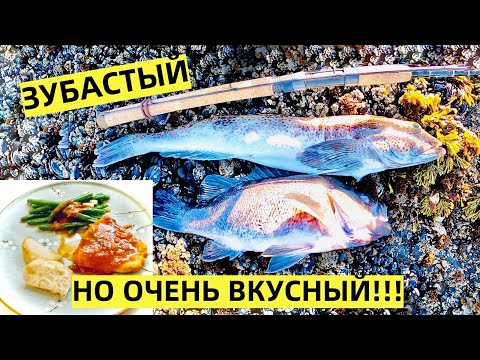 Видео: ВКУСНОТИЩА! ЗУБАСТЫЙ ТЕРПУГ И ОКУНЬ НА ТИХОМ ОКЕАНЕ В США.