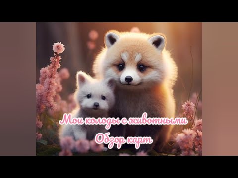 Видео: Мои колоды с животными🐈‍⬛🐕🐎🫏🐄🦥🦘🐘🦒краткий обзор таро и оракулов