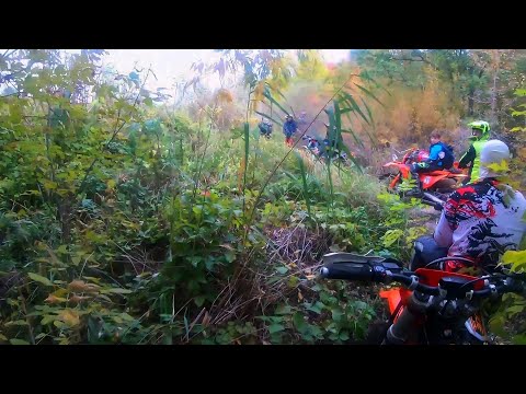 Видео: Эндуро 05,10,2025. Последняя лайтовая секция.