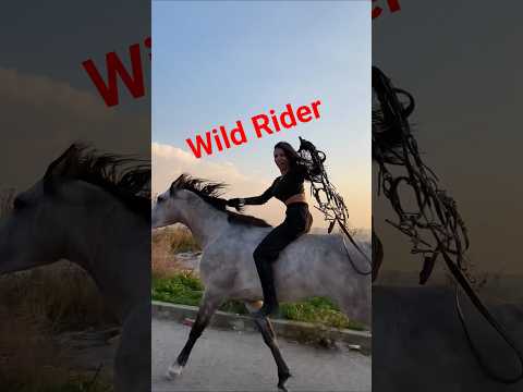 Видео: Арабский всадник // Дикий всадник // Новое видео // Любители лошадей culub #верховаяезда