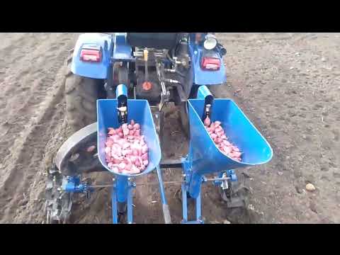 Видео: Стан часнику 🧄 на 30:10:2023/Огляд часникосажалки крючков