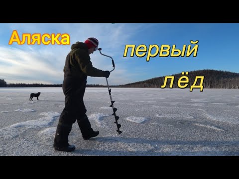 Видео: Первый лёд.Разведка.Первый улов.
