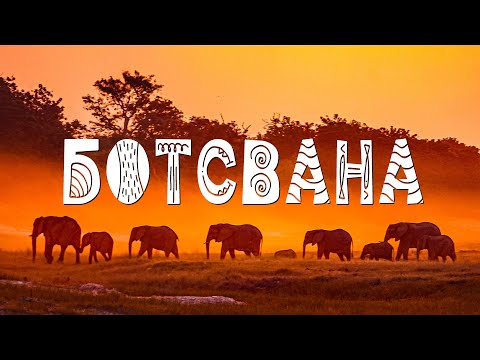 Видео: Сафари моей мечты. Ботсвана, Южная Африка / Botswana. Travel documentary