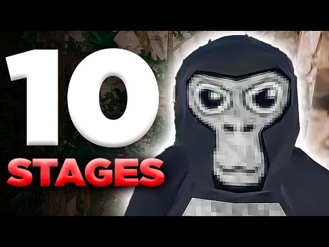 Видео: 10 стадий каждого игрока Gorilla Tag