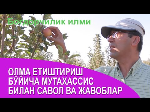 Видео: Олма етиштириш бўйича мутахассис билан савол жавоб