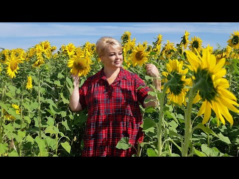 Видео: Деревня. Подсолнухи. Лодка. Рыбалка. #татьянакильмяшкина