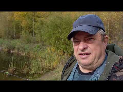 Видео: Осенний карасик .27 сентября 2025 г.