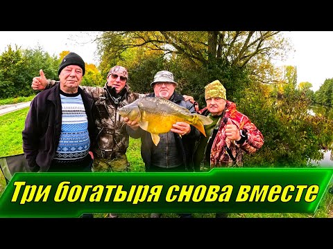 Видео: Три богатыря снова вместе!