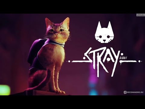 Видео: Часть 3. Полное прохождение Stray / full walkthrough