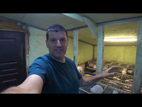 Видео: НЕ СТОИТ ИХ СМЕШИВАТЬ