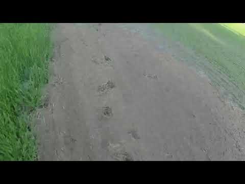 Видео: Мукаш аул в Нововаршавском районе Омской области/Mukash aul in Omsk region