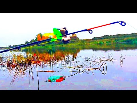 Видео: КРУПНЫЙ ЛЕЩ .ФИДЕР ОСЕНЬЮ . РЫБАЛКА С НОЧЕВКОЙ И ПАЛАТКОЙ .