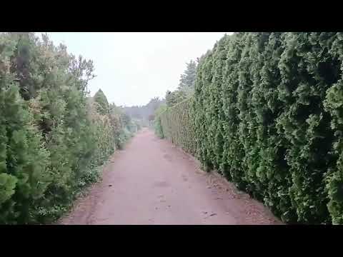 Видео: Кто может купить дачу в Польше, какие документы нужны для этого? И  как выглядит сама дача ?