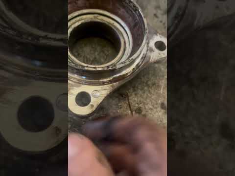 Видео: Понедельник 1 сентября 