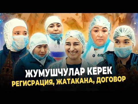 Видео: Жумуш бар⚠️ вакансия ачылды ишибиз жеңил дейт🔴 Кыргыз, Өзбек баары билсин⚠️ бөлүшүп койуңуздар