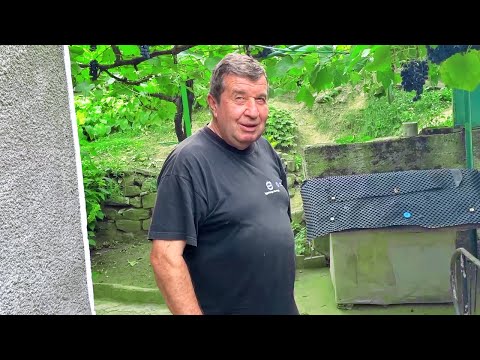 Видео: КУЧЕТО МИ КРАДЕ ОТ ДЯДО...