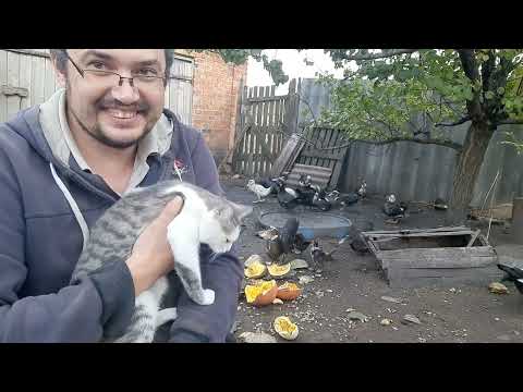 Видео: Был хороший день