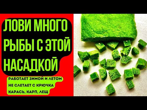 Видео: С этой насадкой вся рыба будет ваша. Подходит для холодной воды. Подходит для донки и фидера.