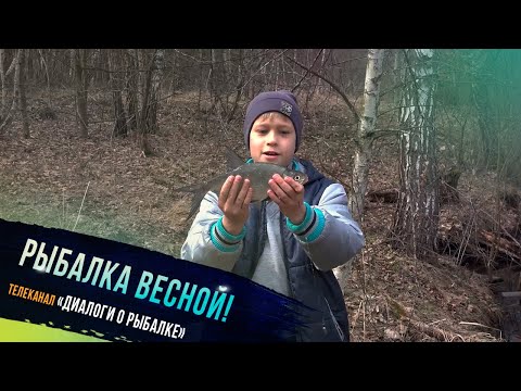Видео: 🔥 "Рыбалка весной на малых реках - участник проекта Клевое детство телеканала "Диалоги о рыбалке"