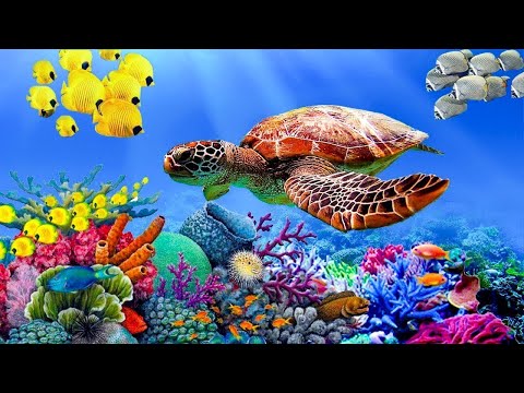 Видео: Расслабляющая музыка с океанскими волнами: красивое фортепиано, музыка для сна, снятие стресса