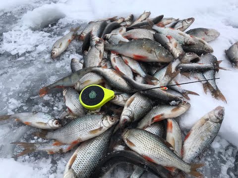 Видео: КАК ПОЙМАТЬ ПЛОТВУ В ГЛУХОЗИМЬЕ НА МОРМЫШКУ ???