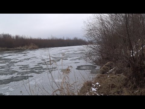 Видео: Знайшов гарне місце на Пруті