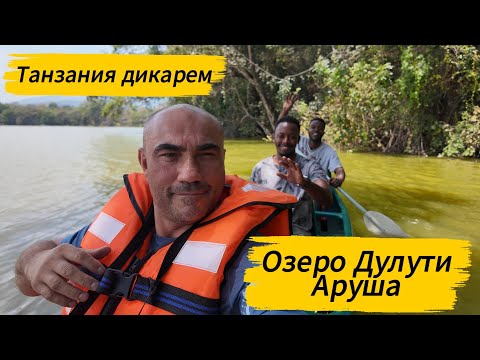 Видео: Путешествие по Танзании: каноэ на озере Дулути (Аруша) 🛶🌍