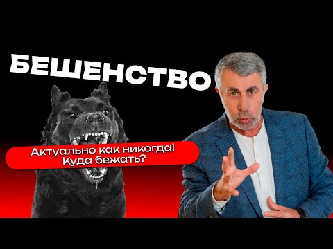 Видео: Бешенство. Актуально как никогда! Куда бежать