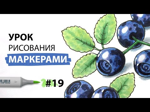 Видео: Как нарисовать чернику? / Урок по рисованию маркерами для новичков #19