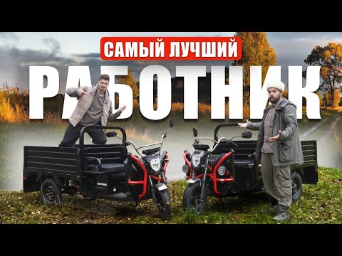 Видео: ОНИ РАБОТАЮТ, ВЫ ОТДЫХАЕТЕ! || Грузовые электротрициклы SIBTRIKE CARGO