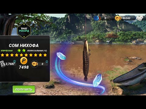 Видео: Новая Рыба Сом Нихофа, Река Меконг, Серия Побед,Fishing Clash,  фишинг клеш