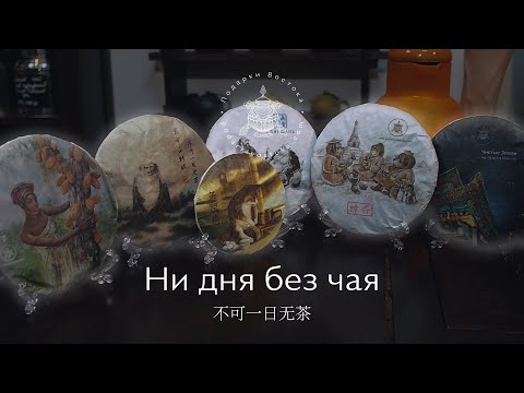 Видео: Ни дня без чая! Обзор нашего чая шу пуэр на каждый день. Podarkivostoka