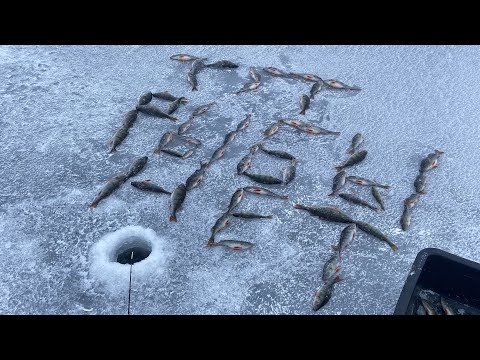 Видео: Рыбалка на Онежском озере зима2024-2025г